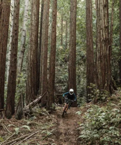 POC Resistance Pro DH Glove