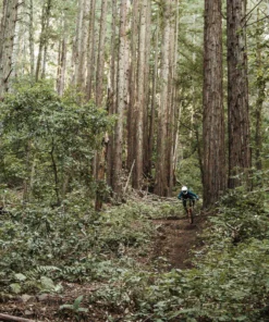 POC Resistance Women's 3/4 Jersey Apparel