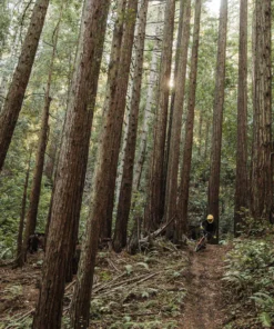 POC Armor VPD System Torso